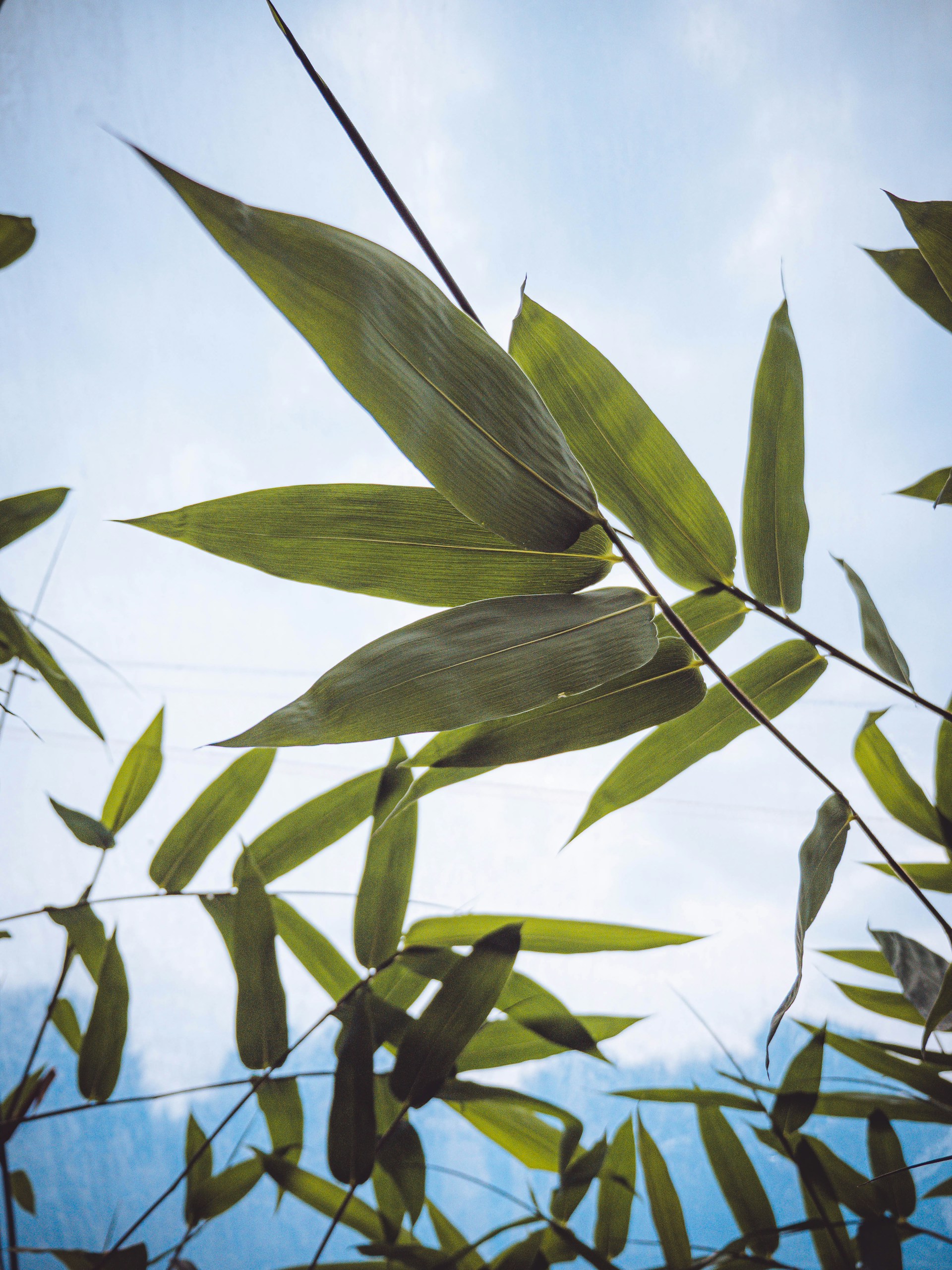 Foto von Kier Allen auf Unsplash